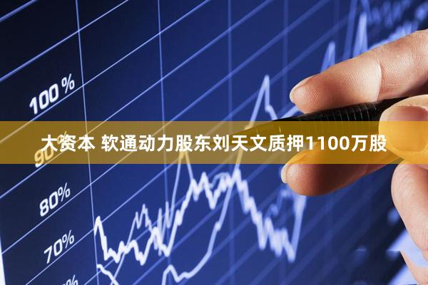 大资本 软通动力股东刘天文质押1100万股