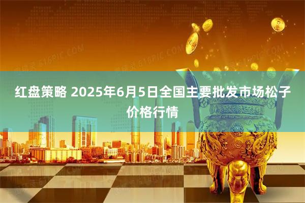 红盘策略 2025年6月5日全国主要批发市场松子价格行情