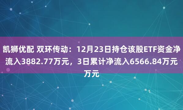 凯狮优配 双环传动：12月23日持仓该股ETF资金净流入3882.77万元，3日累计净流入6566.84万元