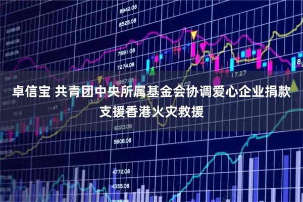 卓信宝 共青团中央所属基金会协调爱心企业捐款支援香港火灾救援