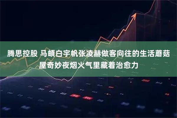 腾思控股 马頔白宇帆张凌赫做客向往的生活蘑菇屋奇妙夜烟火气里藏着治愈力