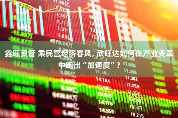 鑫旺资管 乘民营经济春风, 欣旺达如何在产业变革中跑出“加速度”?